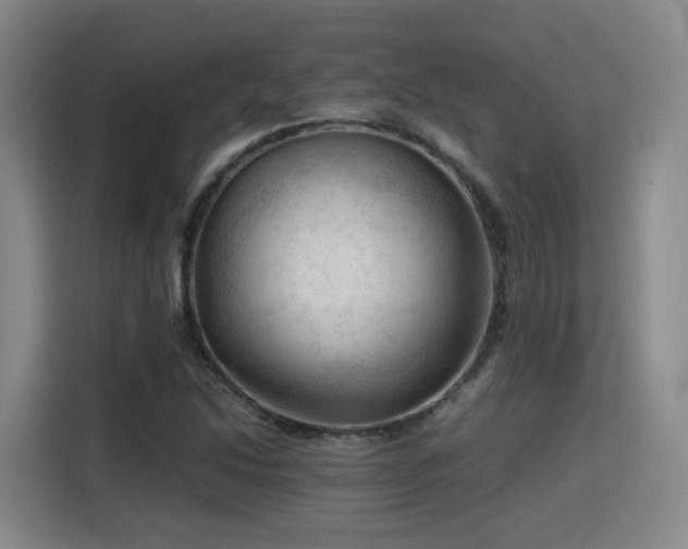 X0000115801214200911201351