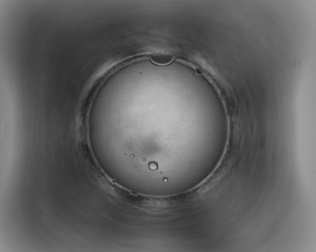 X0000115801215200911201351