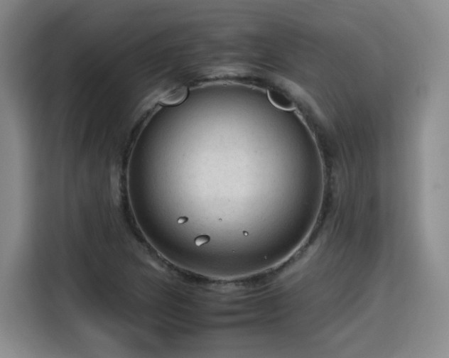 X0000115801217200911201351