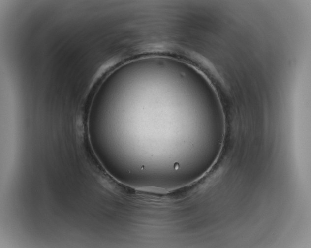 X0000115801218200911201351
