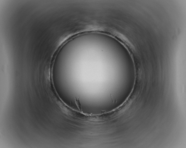 X0000115801220200911201351