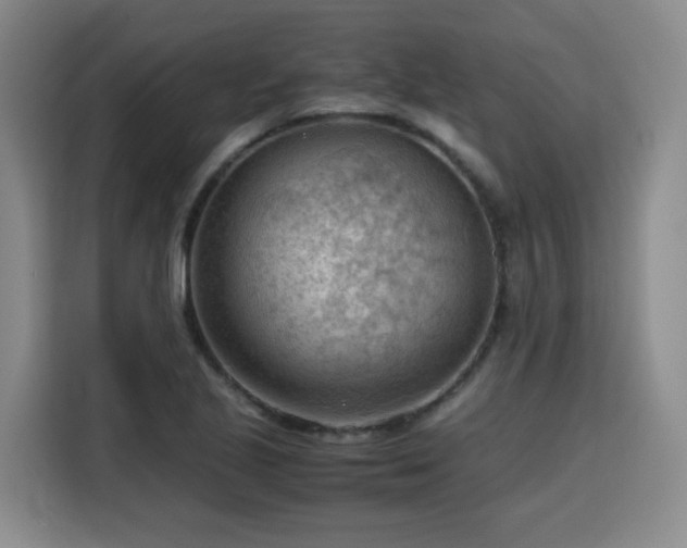 X0000115801221200911201351