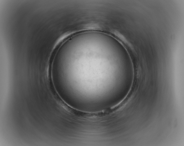 X0000115801222200911201351