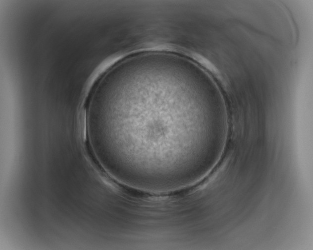 X0000115801223200911201351
