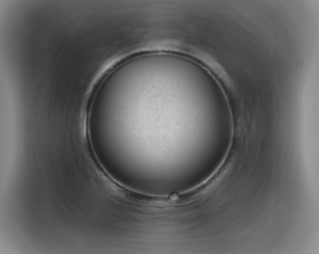 X0000115801224200911201351