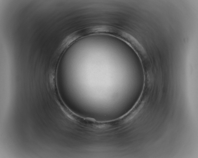 X0000115801225200911201351
