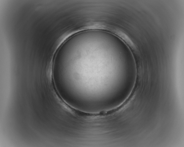 X0000115801228200911201351