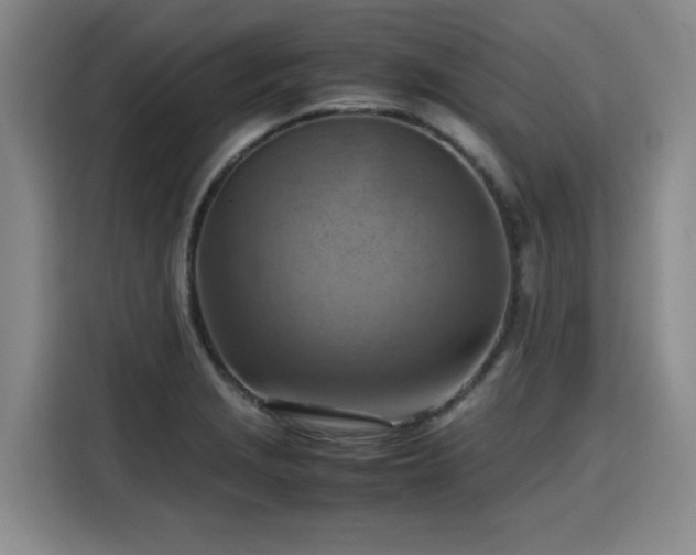 X0000115801229200911201351