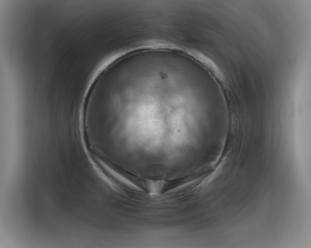 X0000115801231200911201351
