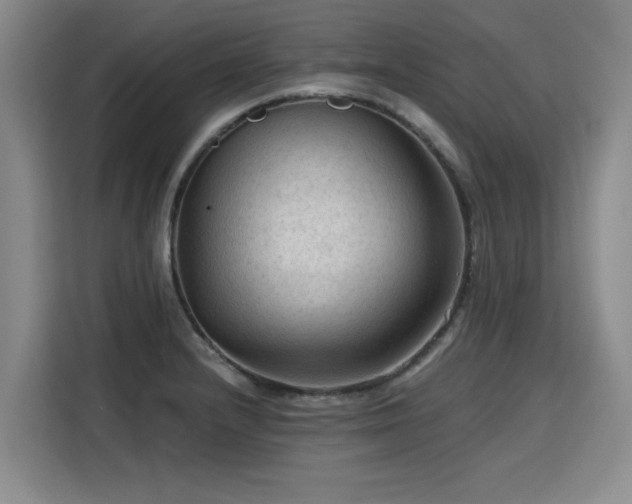 X0000115801232200911201351
