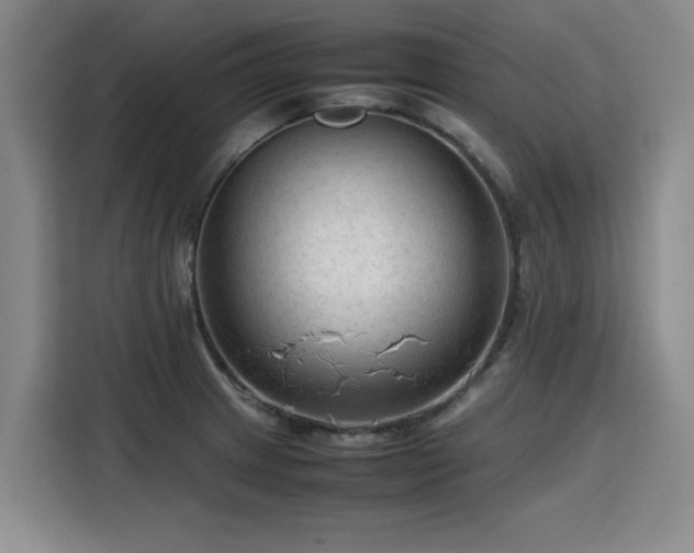 X0000115801233200911201351