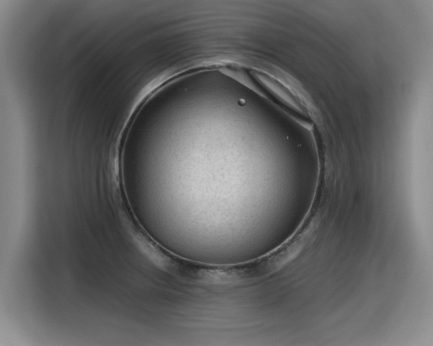 X0000115801234200911201351