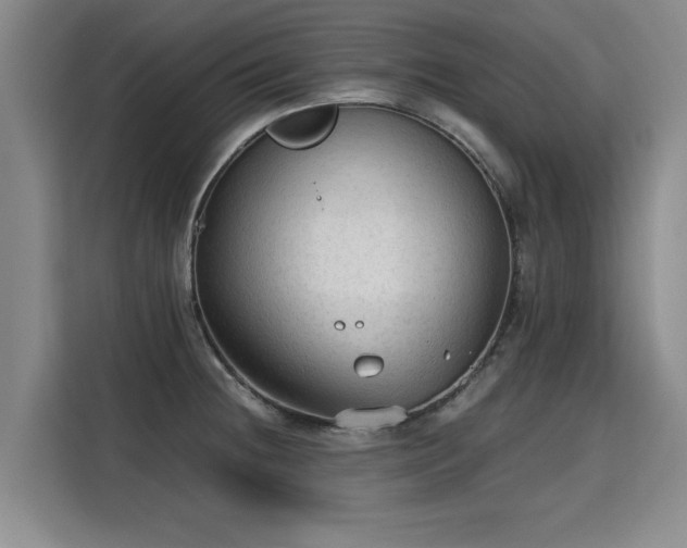X0000115801236200911201351