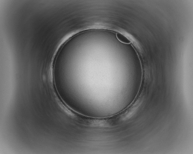 X0000115801238200911201351