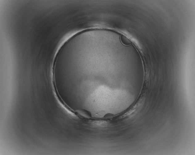 X0000115801239200911201351