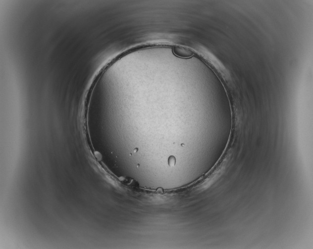 X0000115801240200911201351