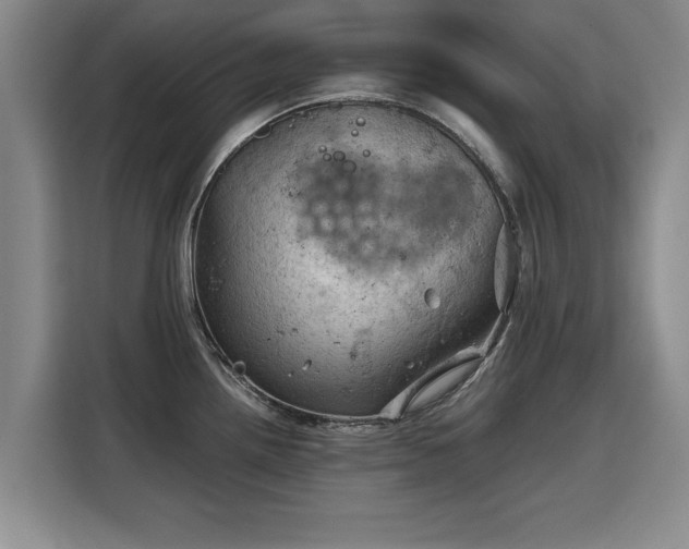 X0000115801242200911201351