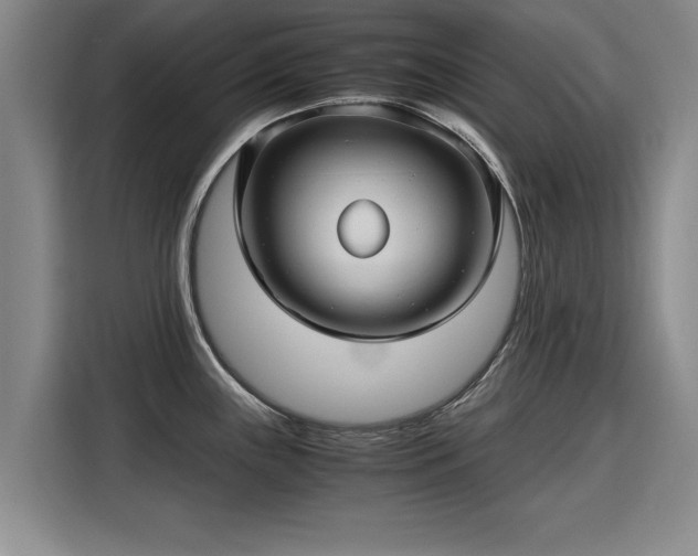 X0000115801243200911201351