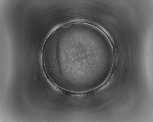 X0000115801245200911201351