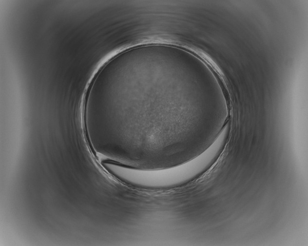 X0000115801246200911201351