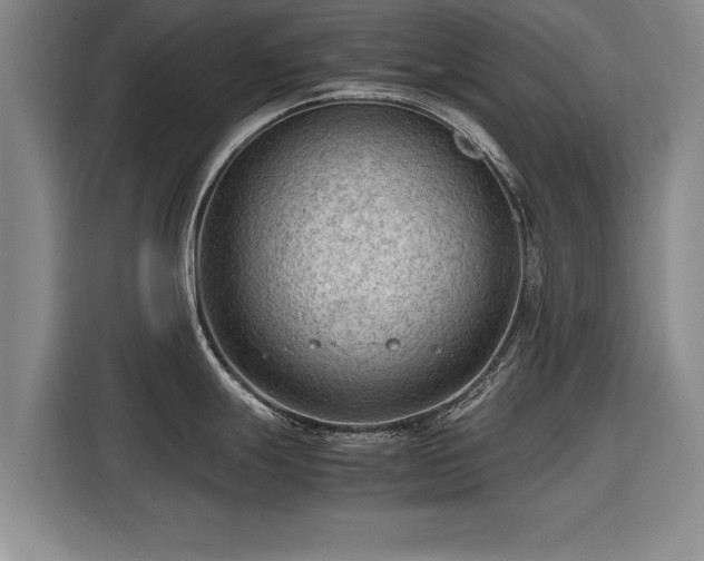 X0000115801247200911201351