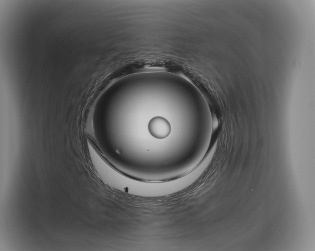 X0000115801249200911201351