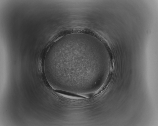X0000115801252200911201351