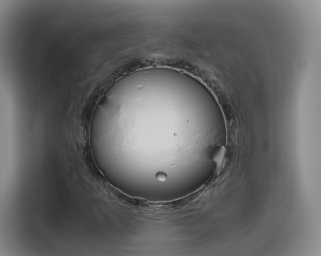 X0000115801253200911201351