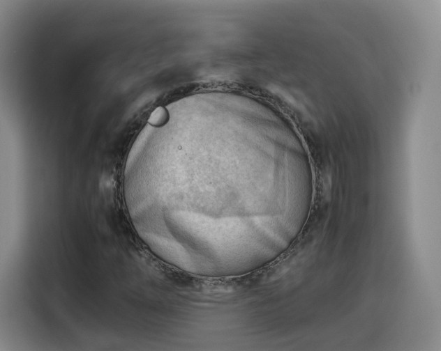 X0000115801254200911201351