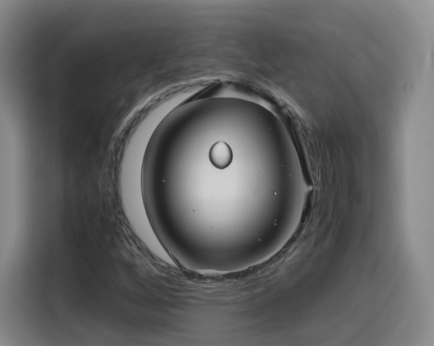 X0000115801256200911201351