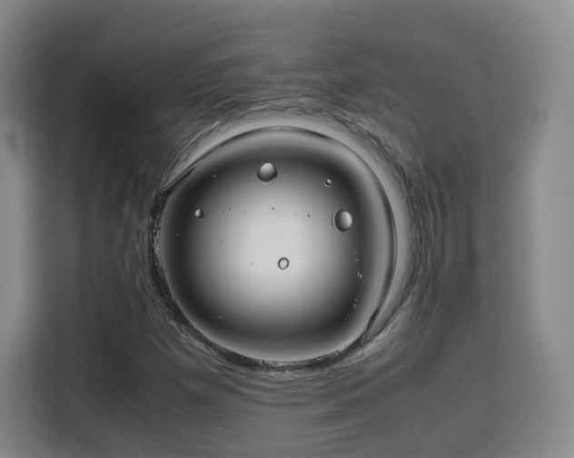 X0000115801257200911201351