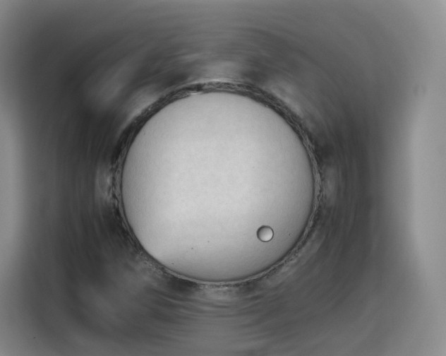 X0000115801258200911201351