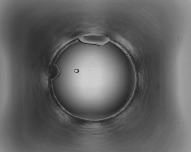 X0000115801260200911201351