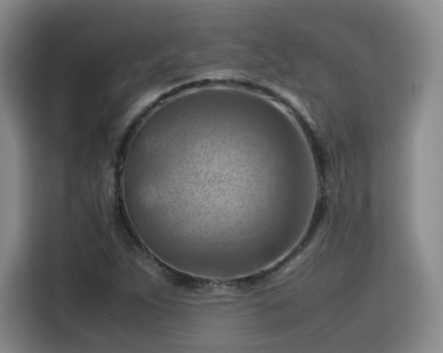 X0000115801263200911201350