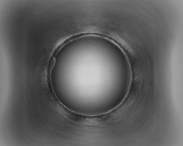 X0000115801264200911201350