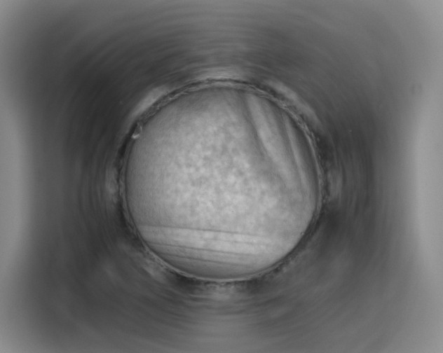 X0000115801266200911201350