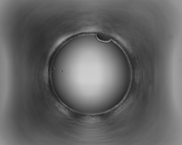 X0000115801270200911201350