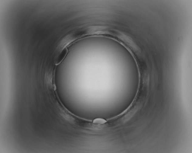 X0000115801273200911201350