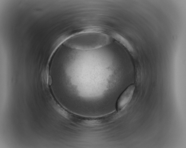 X0000115801276200911201350