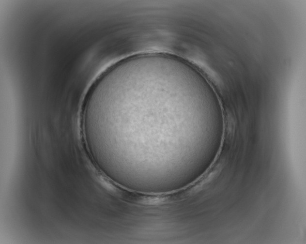 X0000115801278200911201350