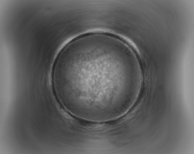 X0000115801279200911201350