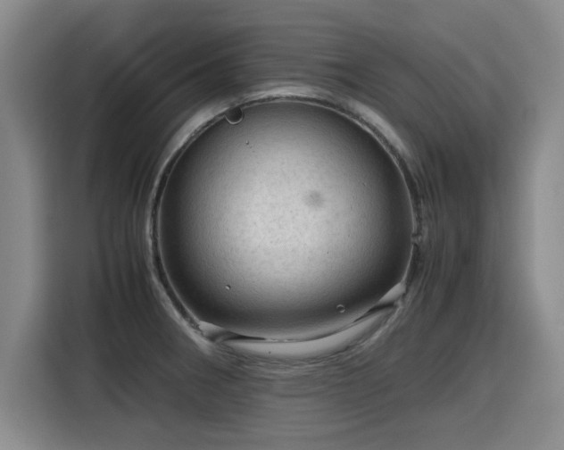 X0000115801282200911201350