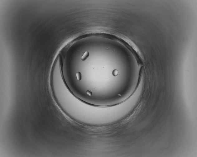 X0000115801285200911201350