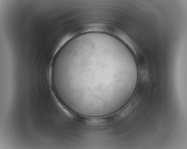 X0000115801290200911201350
