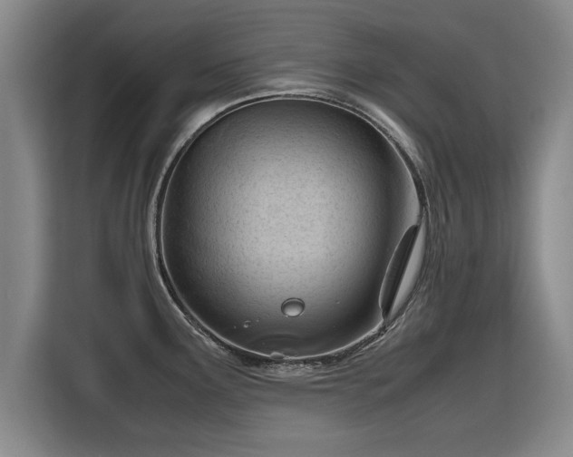 X0000115801291200911201350