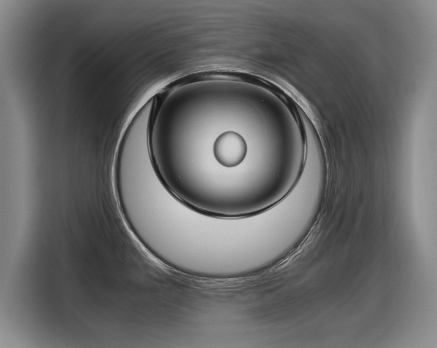X0000115801293200911201350