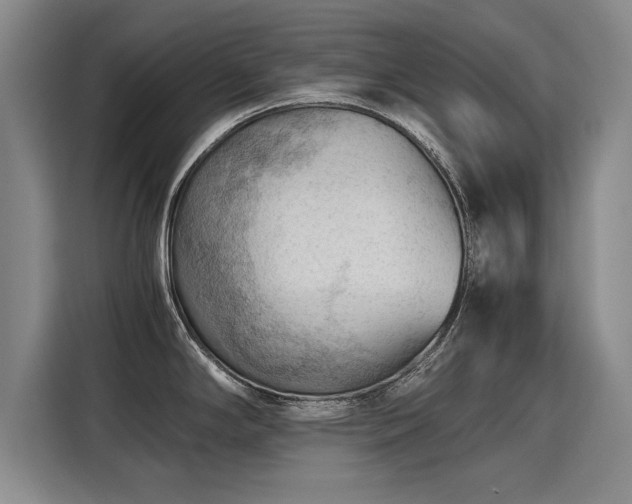 X0000115801294200911201350
