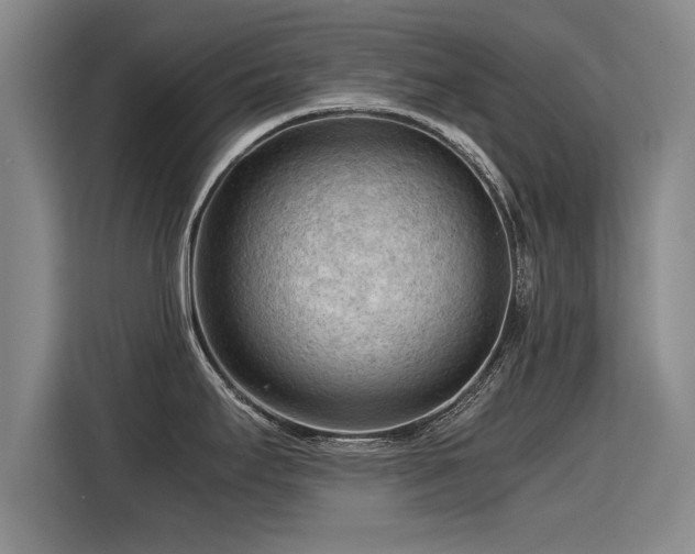 X0000115801295200911201350