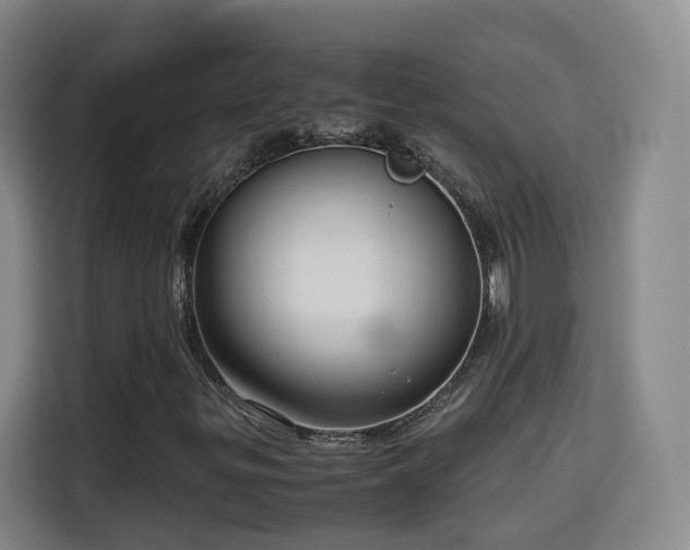 X0000115801299200911201349