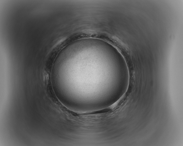X0000115801302200911201350
